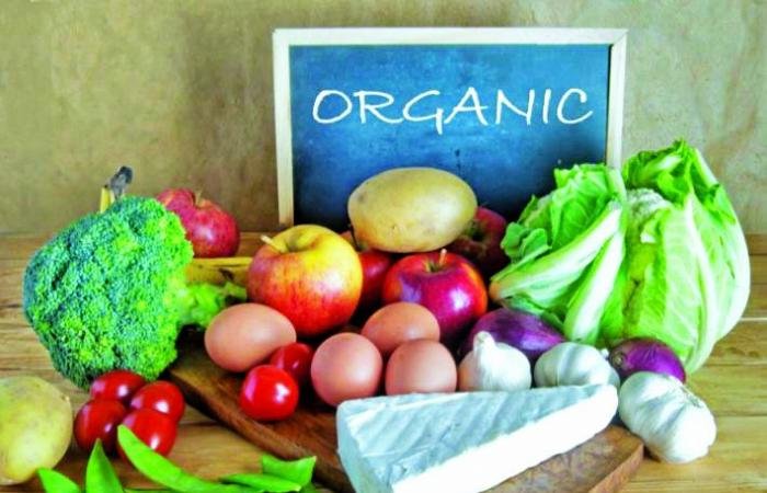 أخبار قطر | الشرق تنشر دليل استيراد الأغذية العضوية | عيون الجزيرة قطر