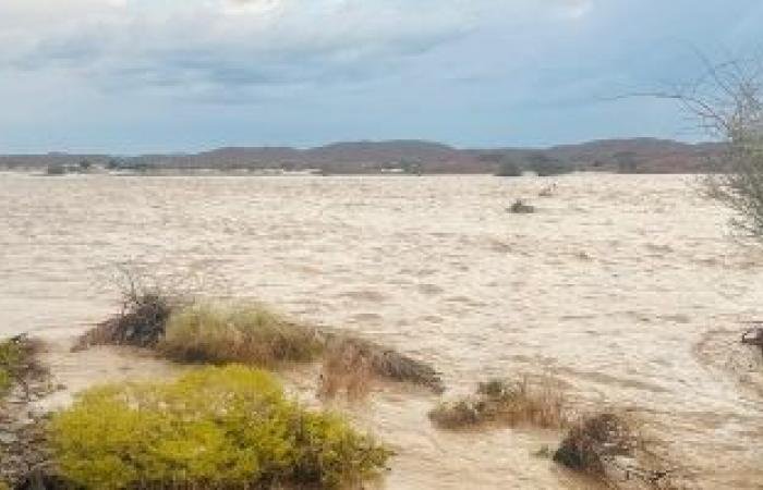 أخبار سلطنة عمان | ولاية إبراء تسجّل أعلى كميات أمطار بـ 292 مليمترًا | عيون الجزيرة الاخبارية عمان