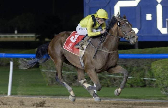 الرياضة الان | صراع العمالقة بين «هيت شو» و«فوريفر يونج» في أقوى السباقات | عيون الجزيرة الرياضي