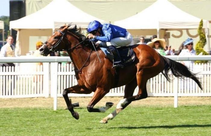 الرياضة الان | «أومبودزمان» يتصدر كوكبة جودلفين في النسخة الـ 30 | عيون الجزيرة الرياضي