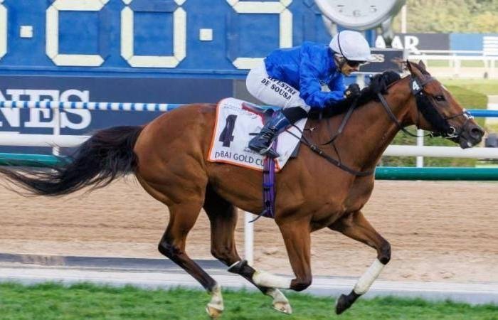 الرياضة الان | جودلفين يدفع بسداسي ناري بحثاً عن المجد في 4 بطولات | عيون الجزيرة الرياضي