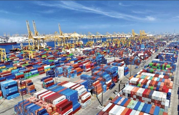 «موانئ دبي» و«روساتوم»: مشروع خدمات لوجستية في روسيا