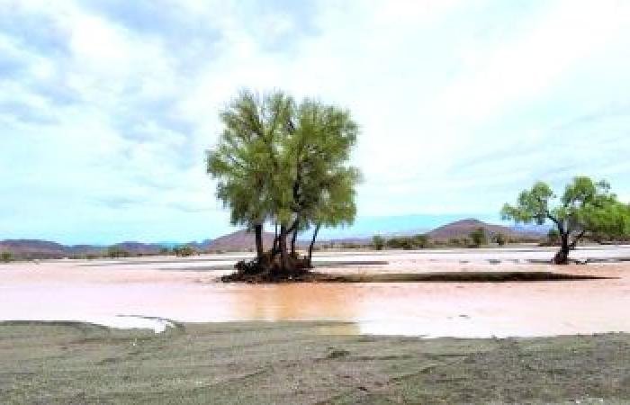 أخبار سلطنة عمان | انحسار منخفض المسرات غدا مع استمرار التأثيرات على محافظتي ظفار والوسطى | عيون الجزيرة الاخبارية عمان