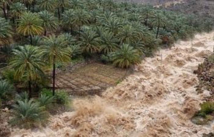 أخبار سلطنة عمان | هطول أمطار غزيرة على ولايات محافظة جنوب الباطنة | عيون الجزيرة الاخبارية عمان
