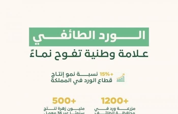 أخبار السعودية | قطاع الورد يسجل نموا بأكثر من 15% سنويا وارتفاع الطلب العالمي على الإنتاج المحلي | عيون الجزيرة السعودية الان