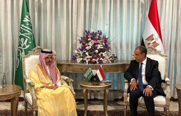 مصر تبحث مع السعودية خفض التصعيد وتحقيق التهدئة في المنطقة