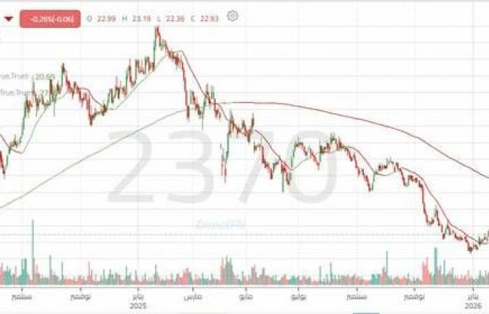 سهم "مسك" بين تأكيد الاختراق واستهداف مستويات أعلى