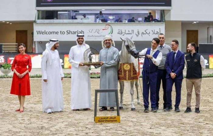 الرياضة الان | «دي شرار» يتربع على عرش الفحول في مهرجان الشارقة | عيون الجزيرة الرياضي