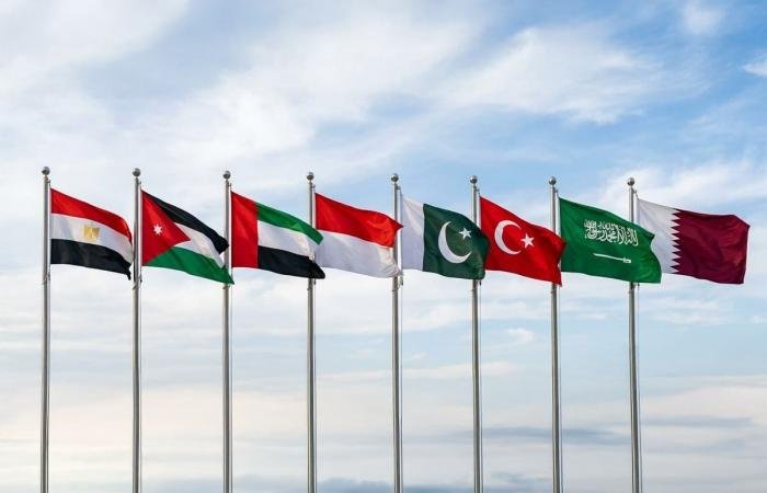 وزراء خارجية 8 دول عربية وإسلامية يدينون قانون إعدام الأسرى الفلسطينيين | عيون الجزيرة