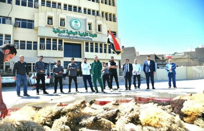 الرياضة الان | اللجنة الأولمبية العراقية تنحر الذبائح احتفاءً بالصعود للمونديال | عيون الجزيرة الرياضي