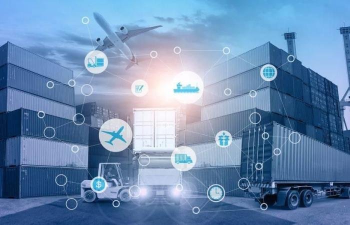 موانئ الإمارات.. ركيزة استقرار محورية في منظومة التجارة العالمية