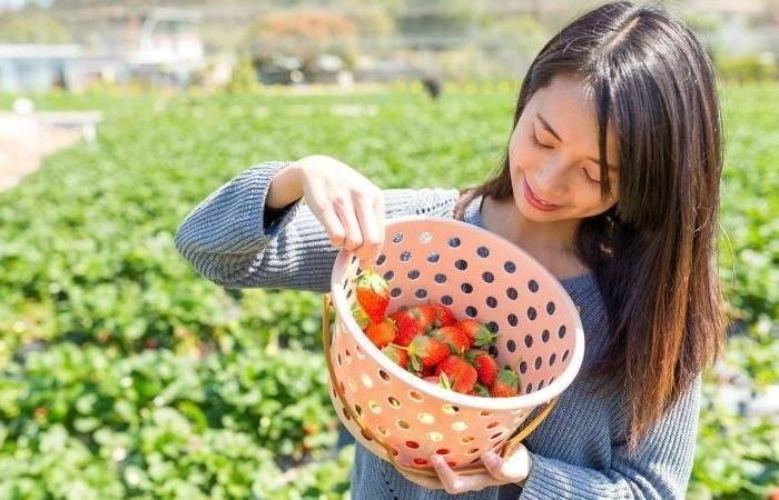 صادرات كوريا من المواد الغذائية ترتفع 4%