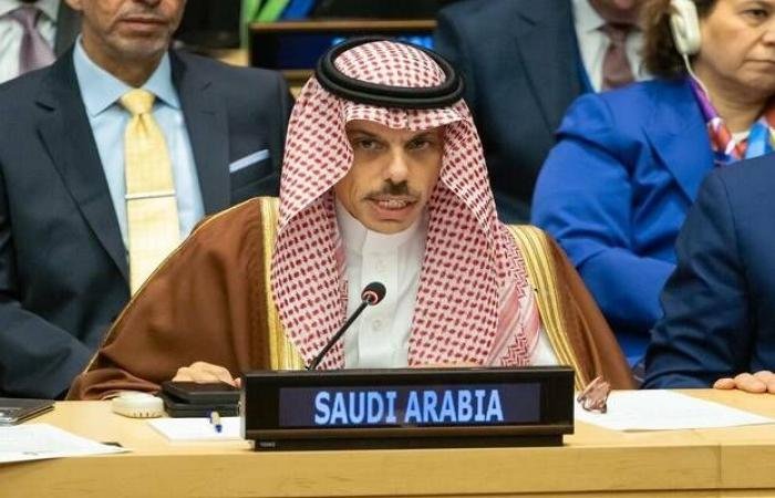 السعودية وباكستان تبحثان تطورات الأوضاع والتنسيق المشترك