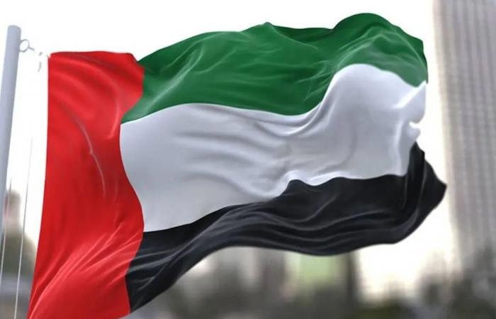 الإمارات تدين بأشد العبارات أعمال الشغب والاعتداء على سفارتها في دمشق | عيون الجزيرة