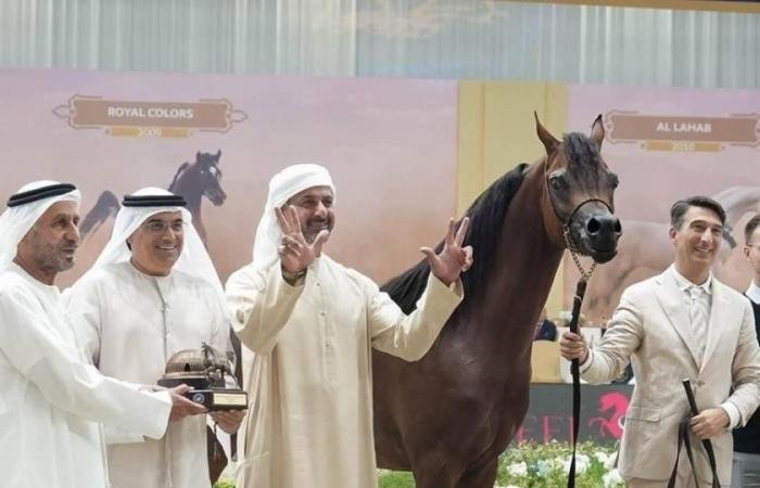 الرياضة الان | 42 خيلاً تتأهل إلى النهائيات في بطولة دبي الدولية للجواد العربي | عيون الجزيرة الرياضي