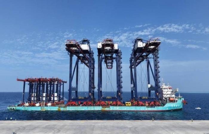 موانئ نواتوم تتسلم رافعات رصيف بمحطة سفاجا في مصر