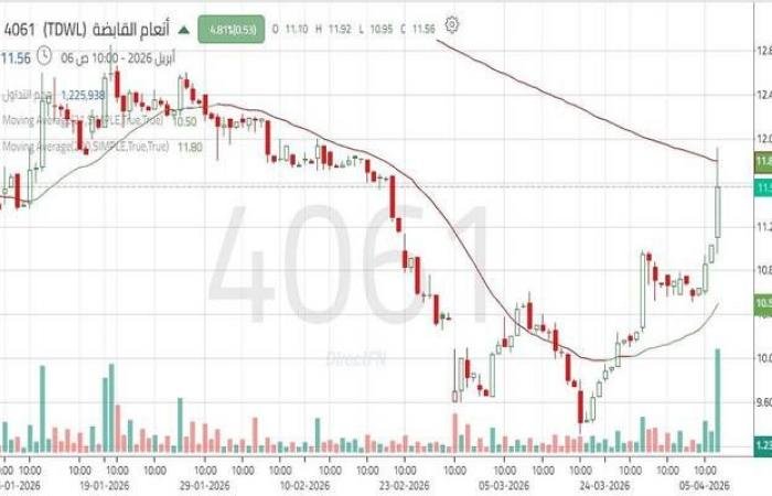 سهم "أنعام القابضة" يتحرك ضمن اتجاه هابط مع سيطرة القوة البيعية