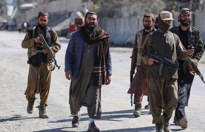 هجوم القوات الأفغانية على موقع عسكري باكستاني اسفر عن مقتل 10 جنود | عيون الجزيرة