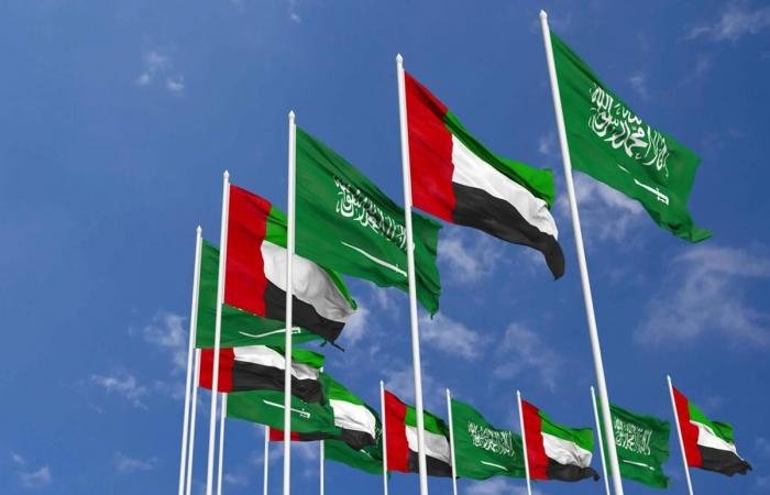 السعودية تدين أعمال الشغب والاعتداءات على سفارة الامارات في دمشق | عيون الجزيرة