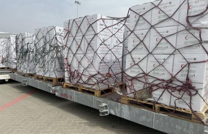 الامارات الان | الإمارات تواصل إغاثة غزة بمساعدات غذائية عبر جسر حميد الجوي (فيديو) | عيون الجزيرة الامارات