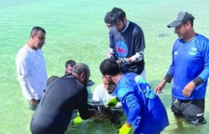 أخبار سلطنة عمان | تدشين مشروع زراعة الشعاب المرجانية في محمية جزر الديمانيات الطبيعية | عيون الجزيرة الاخبارية عمان