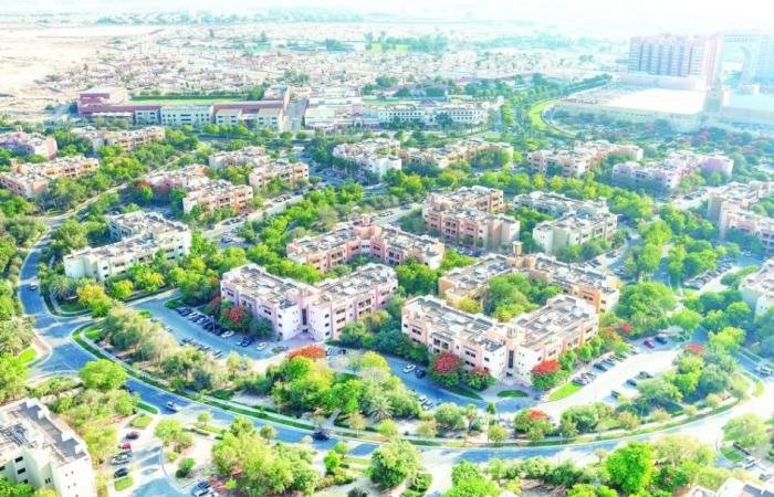 312 مليون درهم صفقة «هبة» على أرض في دبي