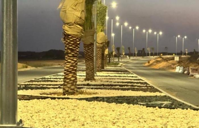 إنجاز 70% من البنية التحتية للمرحلة الثانية من «أرابيان هيلز» في العين