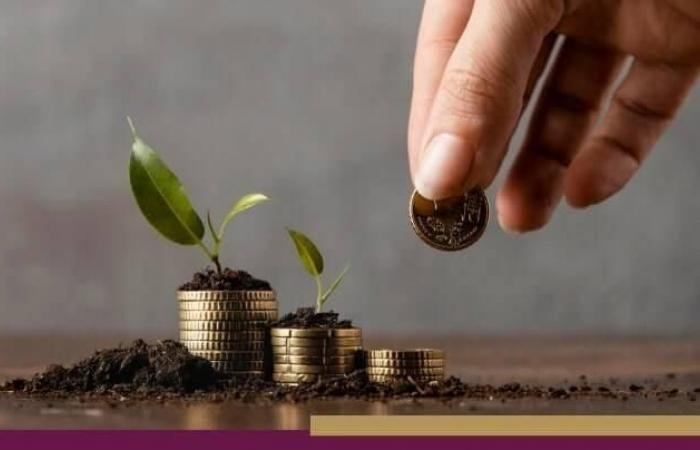 الإمارات ترسخ نموذجاً متقدماً لادخار الأفراد