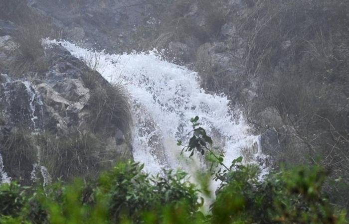 أخبار السعودية | عسير تتصدر كمية الأمطار وخطة تشغيلية لمعالجة تجمعات مياه الرياض | عيون الجزيرة السعودية الان