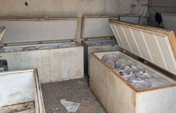 أخبار السعودية | ضبط 70 طنا من المواد الفاسدة بجدة خلال 3 أشهر | عيون الجزيرة السعودية الان