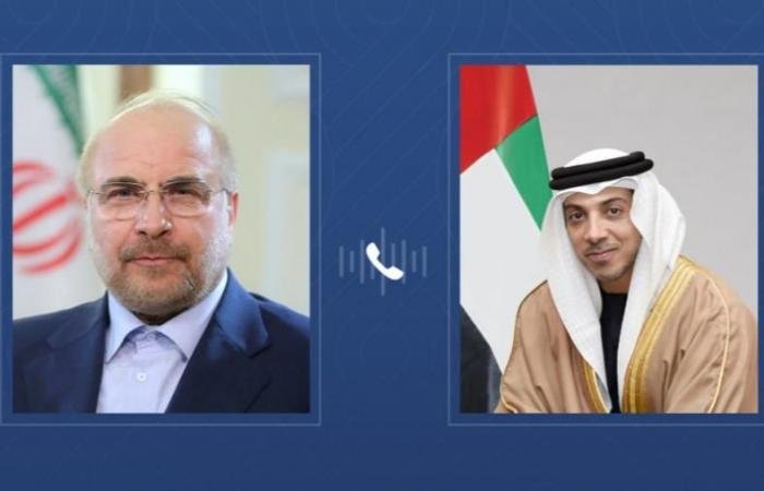 الامارات الان | منصور بن زايد يبحث هاتفيا مع رئيس "الشورى الإيراني" خفض التصعيد في المنطقة | عيون الجزيرة الامارات