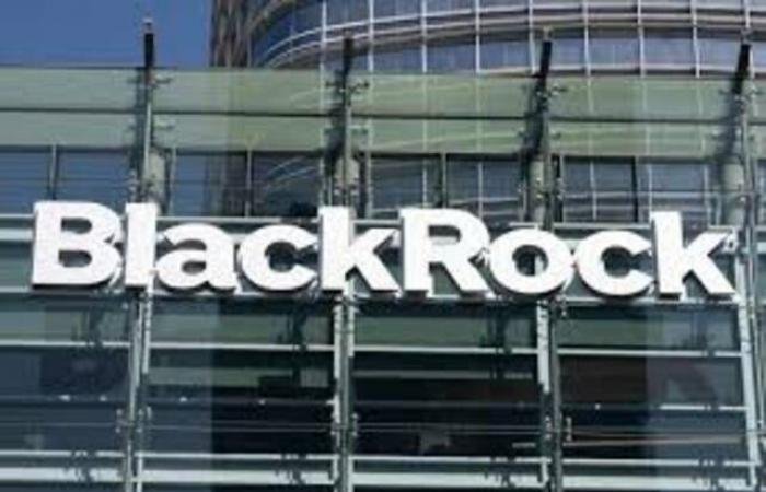 "بلاك روك" تدعو المستثمرين لتنويع محافظهم في صناديق التحوط