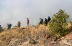 أخبار السعودية | في مسار تمكين العمل التطوعي 2025.. البيئة والمياه والزراعة تحصد المركز الأول بمنظومة أداء متكاملة | عيون الجزيرة السعودية الان