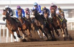 الرياضة الان | 958 ألف درهم تشعل الإثارة بين 85 خيلاً في مضمار جبل علي | عيون الجزيرة الرياضي