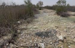 أخبار قطر | وزارة البيئة: ضبط شركة قامت بتفريغ مياه صرف صحي معالجة في المزروعة | عيون الجزيرة قطر