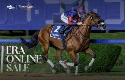 الرياضة الان | مزاد هيئة الإمارات لسباق الخيل يسجل زيادة 154% | عيون الجزيرة الرياضي