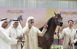 الرياضة الان | 42 خيلاً تتأهل إلى النهائيات في بطولة دبي الدولية للجواد العربي | عيون الجزيرة الرياضي