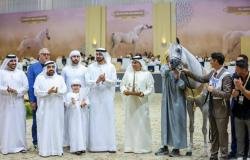 الرياضة الان | محمد القرقاوي يتوج الفائزين ببطولة دبي الدولية للجواد العربي | عيون الجزيرة الرياضي