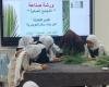 أخبار سلطنة عمان | "دُرْبة" مشروع بيئي بمدرسة تنوف يربط التعلم بالممارسة ويصقل المهارات الحياتية للطلبة | عيون الجزيرة الاخبارية عمان