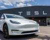 تسلا تطور سيارة كهربائية أرخص وسط مخاوف تراجع الأرباح