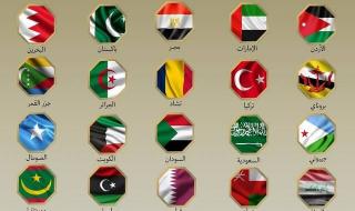 20 دولة عربية وإسلامية يصدرون بيانا مشتركا لإدانة الهجوم الإسرائيلي على إيران
