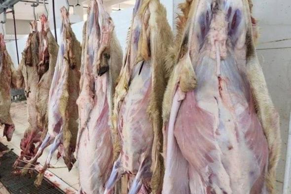 أخبار السعودية | ضبط 663 ذبيحة مهربة من أضاحي الحج | عيون الجزيرة السعودية الان